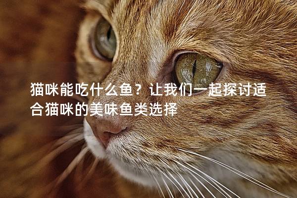 貓咪能吃什么魚(yú)？讓我們一起探討適合貓咪的美味魚(yú)類(lèi)選擇
