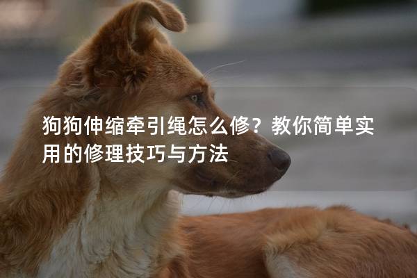 狗狗伸縮牽引繩怎么修？教你簡單實用的修理技巧與方法