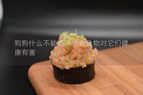 狗狗什么不能吃?這些食物對它們健康有害 狗狗什么不能吃?這些食物對它們健康有害