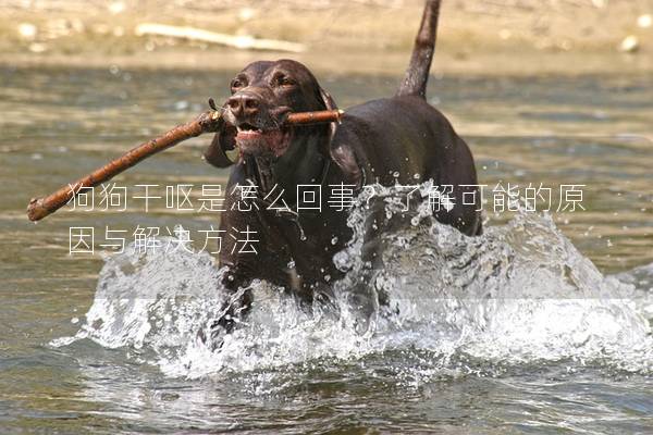 狗狗干嘔是怎么回事？了解可能的原因與解決方法