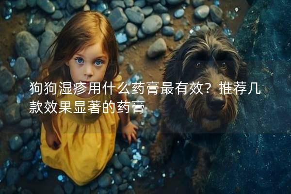 狗狗濕疹用什么藥膏最有效？推薦幾款效果顯著的藥膏