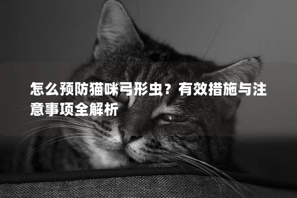 怎么預防貓咪弓形蟲？有效措施與注意事項全解析