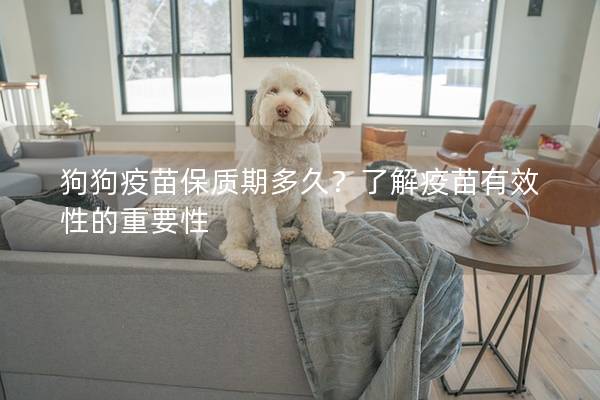 狗狗疫苗保質期多久？了解疫苗有效性的重要性