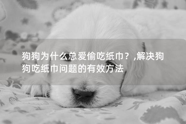 狗狗為什么總愛偷吃紙巾?,解決狗狗吃紙巾問題的有效方法 狗狗為什么總愛偷吃紙巾?,解決狗狗吃紙巾問題的有效方法