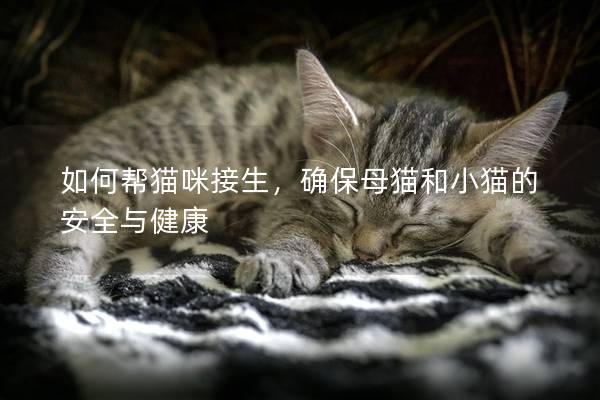 如何幫貓咪接生,確保母貓和小貓的安全與健康 如何幫貓咪接生,確保母貓和小貓的安全與健康