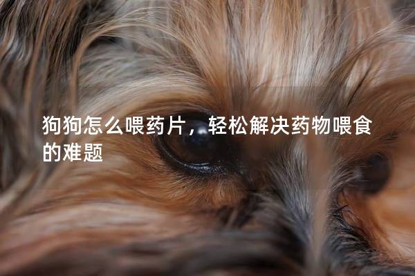 狗狗怎么喂藥片,輕松解決藥物喂食的難題 狗狗怎么喂藥片,輕松解決藥物喂食的難題