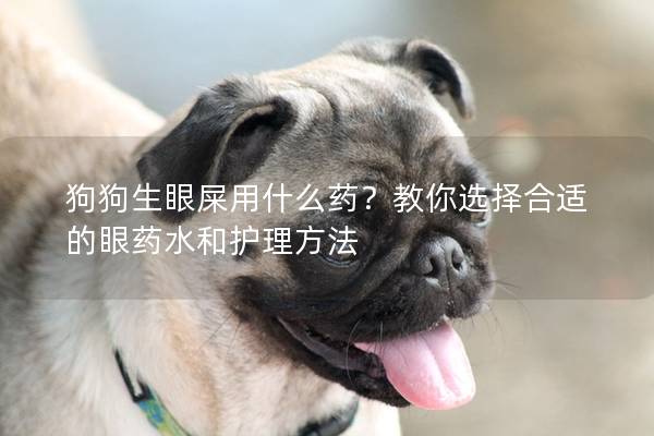 狗狗生眼屎用什么藥？教你選擇合適的眼藥水和護理方法