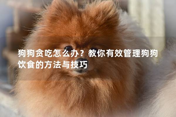 狗狗貪吃怎么辦？教你有效管理狗狗飲食的方法與技巧