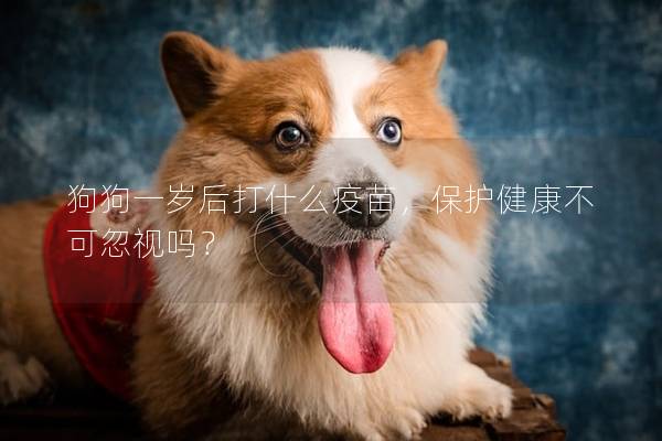 狗狗一歲后打什么疫苗，保護健康不可忽視嗎？