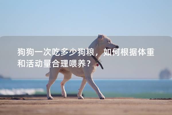 狗狗一次吃多少狗糧，如何根據體重和活動量合理喂養？