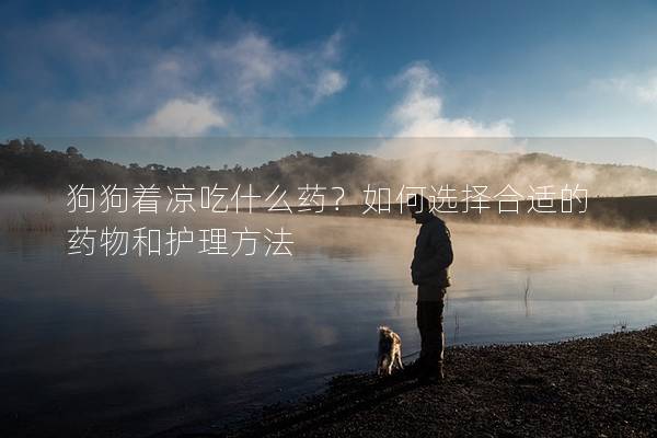 狗狗著涼吃什么藥?如何選擇合適的藥物和護(hù)理方法 狗狗著涼吃什么藥?如何選擇合適的藥物和護(hù)理方法