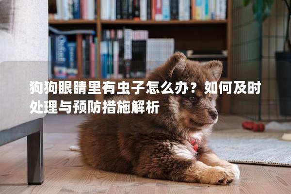 狗狗眼睛里有蟲子怎么辦？如何及時處理與預防措施解析