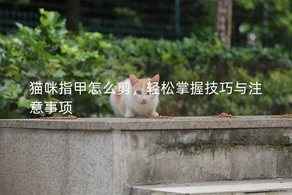 貓咪指甲怎么剪，輕松掌握技巧與注意事項(xiàng)