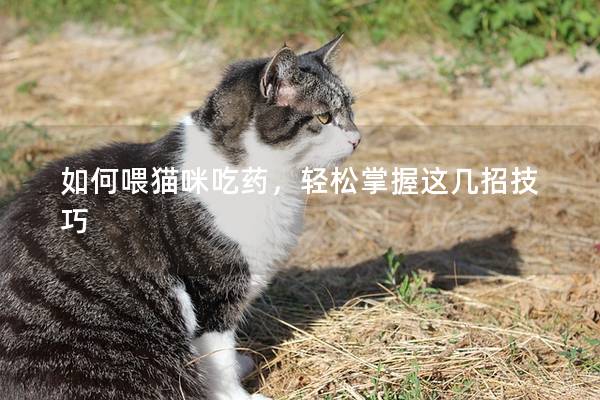 如何喂貓咪吃藥,輕松掌握這幾招技巧 如何喂貓咪吃藥,輕松掌握這幾招技巧
