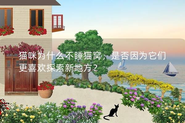 貓咪為什么不睡貓窩，是否因為它們更喜歡探索新地方？