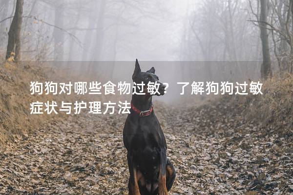 狗狗對哪些食物過敏？了解狗狗過敏癥狀與護理方法