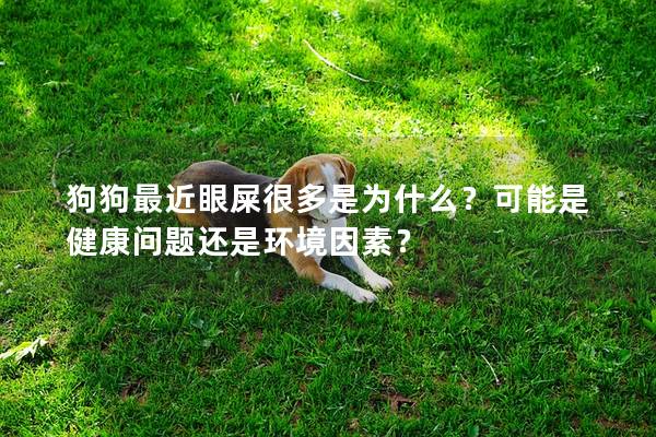 狗狗最近眼屎很多是為什么?可能是健康問題還是環境因素?