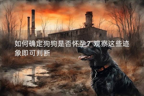 如何確定狗狗是否懷孕？觀察這些跡象即可判斷