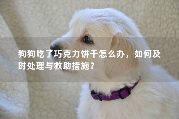 狗狗吃了巧克力餅干怎么辦，如何及時處理與救助措施？