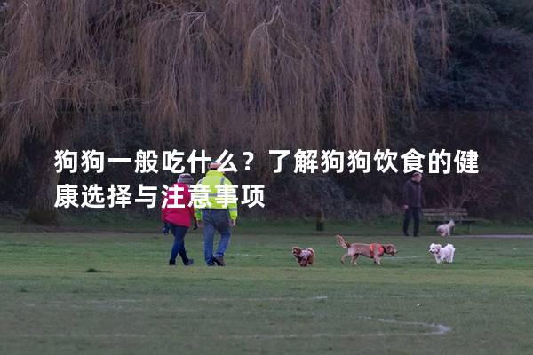 狗狗一般吃什么？了解狗狗飲食的健康選擇與注意事項