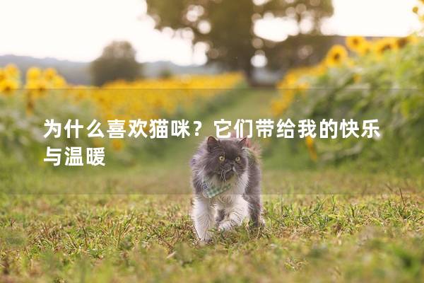 為什么喜歡貓咪?它們帶給我的快樂與溫暖 為什么喜歡貓咪?它們帶給我的快樂與溫暖