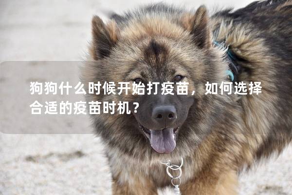 狗狗什么時候開始打疫苗，如何選擇合適的疫苗時機？