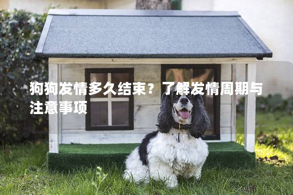 狗狗發情多久結束？了解發情周期與注意事項