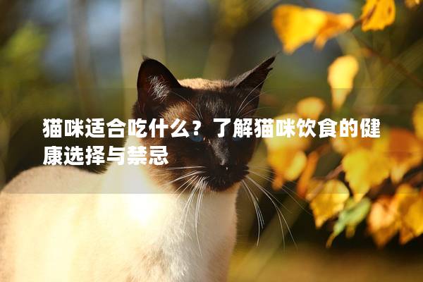 貓咪適合吃什么？了解貓咪飲食的健康選擇與禁忌