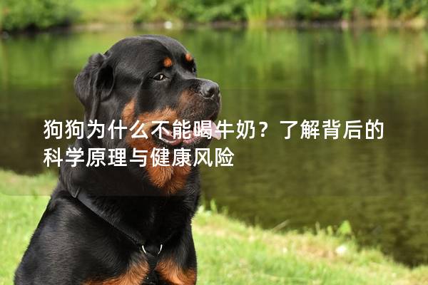 狗狗為什么不能喝牛奶？了解背后的科學原理與健康風險