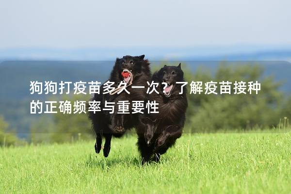 狗狗打疫苗多久一次？了解疫苗接種的正確頻率與重要性