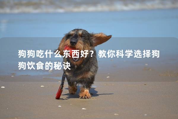 狗狗吃什么東西好？教你科學選擇狗狗飲食的秘訣