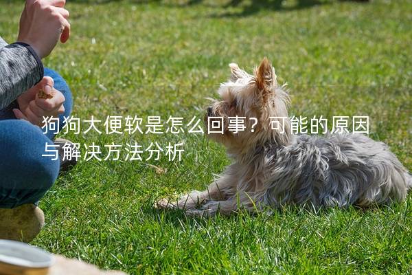 狗狗大便軟是怎么回事？可能的原因與解決方法分析