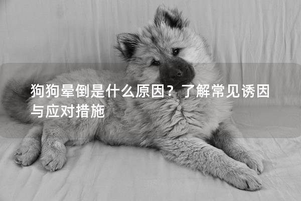 狗狗暈倒是什么原因？了解常見誘因與應對措施