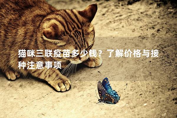 貓咪三聯疫苗多少錢？了解價格與接種注意事項