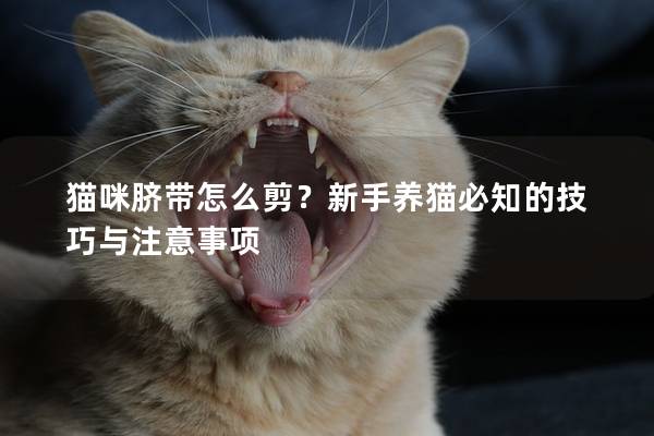 貓咪臍帶怎么剪？新手養貓必知的技巧與注意事項