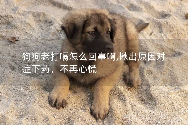 狗狗老打嗝怎么回事啊,揪出原因?qū)ΠY下藥，不再心慌