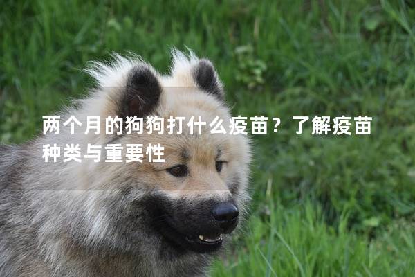 兩個月的狗狗打什么疫苗?了解疫苗種類與重要性