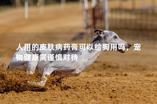 人用的皮膚病藥膏可以給狗用嗎,寵物健康需謹慎對待 人用的皮膚病藥膏可以給狗用嗎,寵物健康需謹慎對待