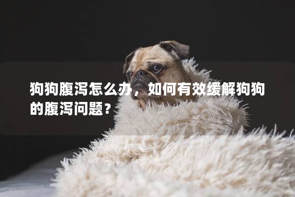 狗狗腹瀉怎么辦，如何有效緩解狗狗的腹瀉問題？
