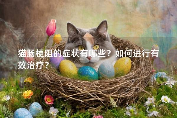 貓腸梗阻的癥狀有哪些?如何進行有效治療? 貓腸梗阻的癥狀有哪些?如何進行有效治療?