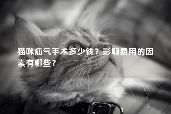 貓咪疝氣手術多少錢？影響費用的因素有哪些？