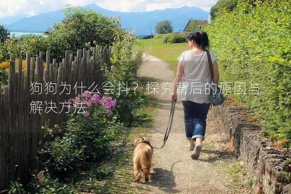 狗狗為什么會抖？探究背后的原因與解決方法