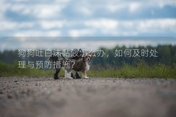 狗狗吐白沫黏液怎么辦，如何及時(shí)處理與預(yù)防措施？