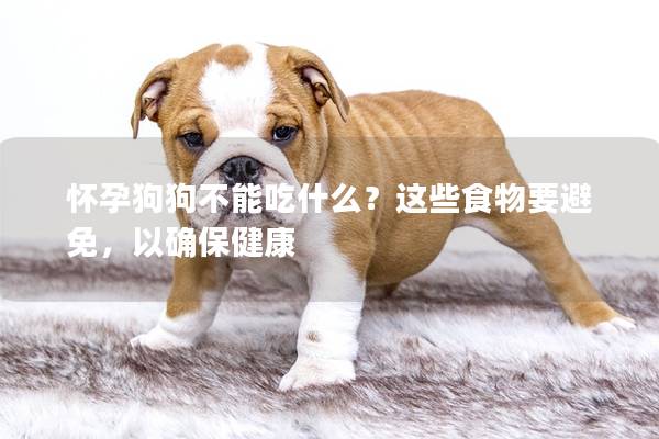懷孕狗狗不能吃什么？這些食物要避免，以確保健康