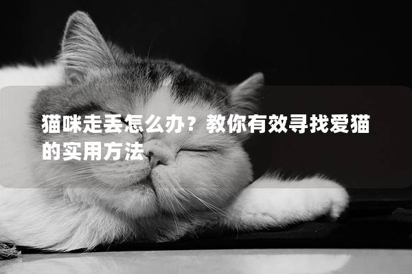 貓咪走丟怎么辦?教你有效尋找愛貓的實用方法 貓咪走丟怎么辦?教你有效尋找愛貓的實用方法