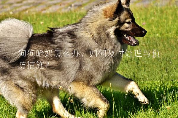 狗狗嗆奶怎么辦，如何及時處理與預防措施？