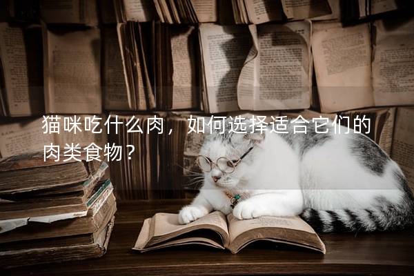 貓咪吃什么肉，如何選擇適合它們的肉類食物？