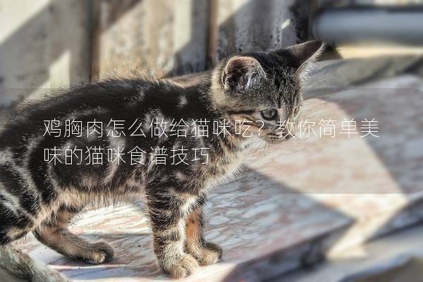 雞胸肉怎么做給貓咪吃？教你簡單美味的貓咪食譜技巧