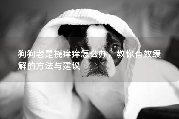 狗狗老是撓癢癢怎么辦，教你有效緩解的方法與建議