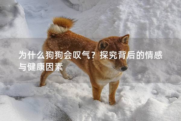為什么狗狗會嘆氣？探究背后的情感與健康因素